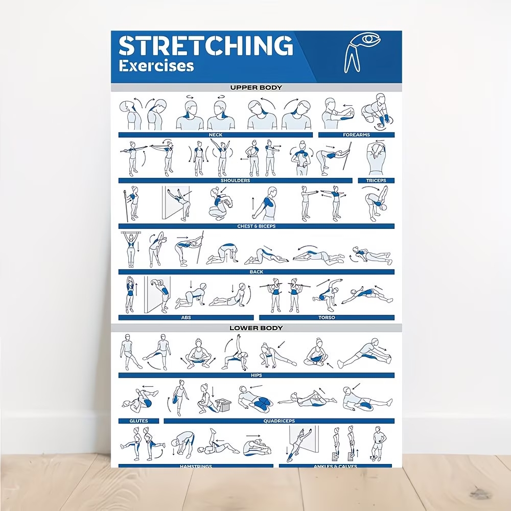 Moderne gelabelde full-body st - Home Gym Room recensie en prijs