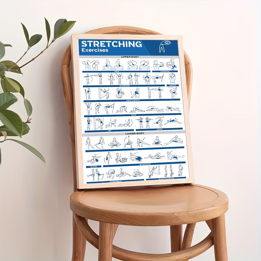 Moderne gelabelde full-body st - Home Gym Room recensie en prijs